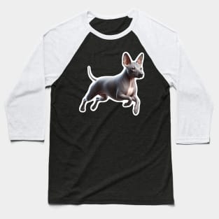 American Hairless Terrier Baseball T-Shirt